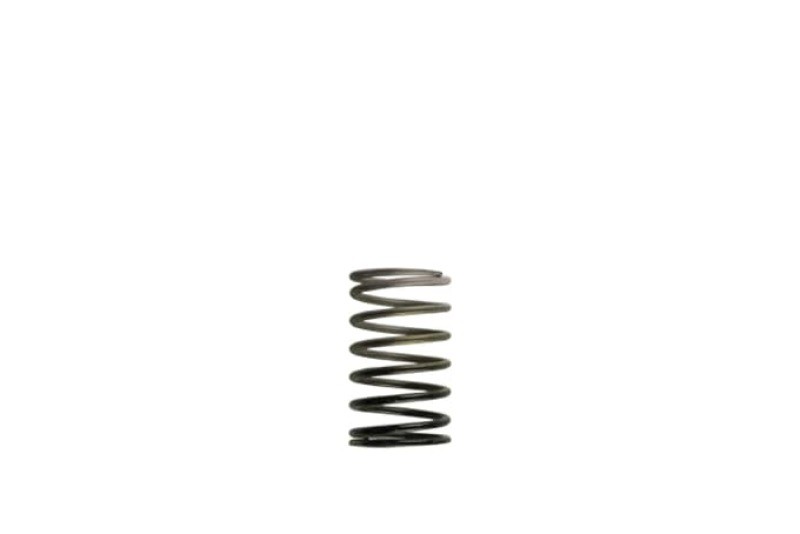 TS Wastegate Springs