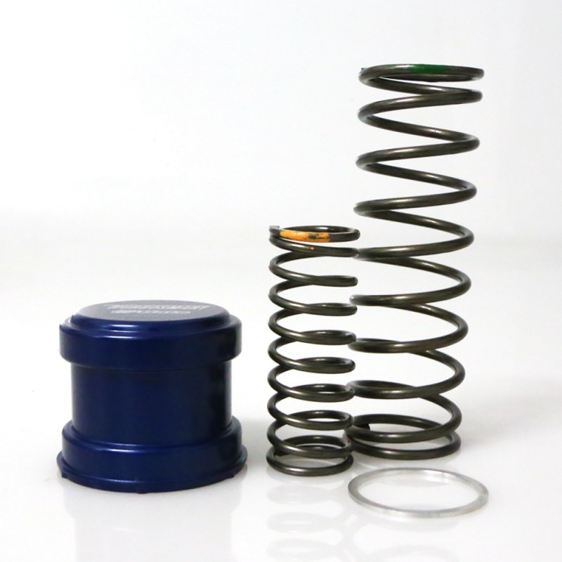 TS Wastegate Springs