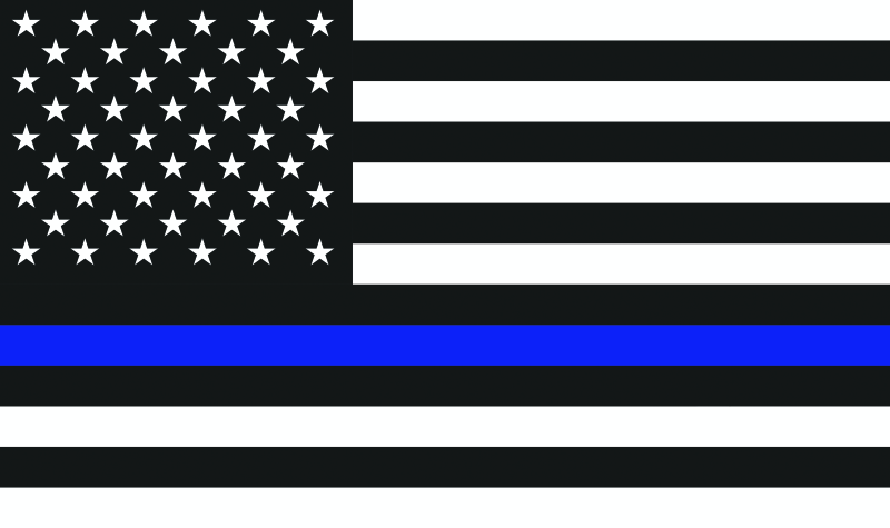 DFR Whip Flag