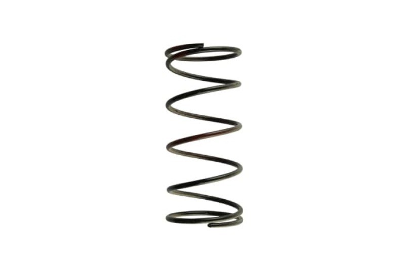 TS Wastegate Springs