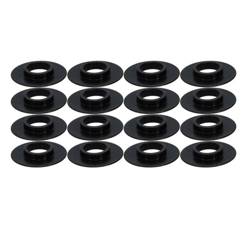 MAN Valve Spring Kits