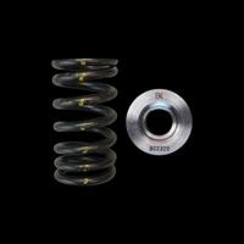 BC Spring & Retainer Kits