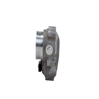 BBK Throttle Bodies