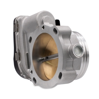BX Throttle Bodies