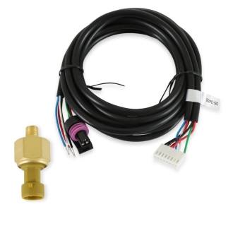 AEM Digital Gauges