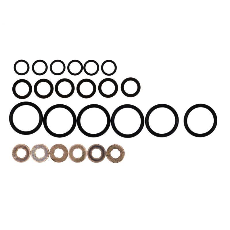 CG Main Seals