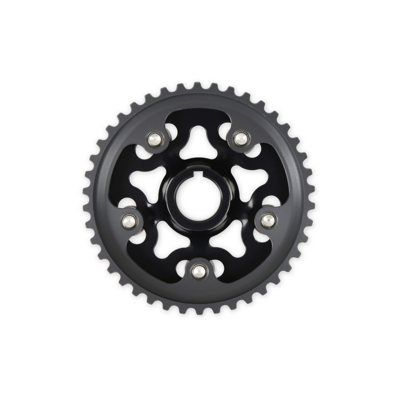 AEM Cam Gears