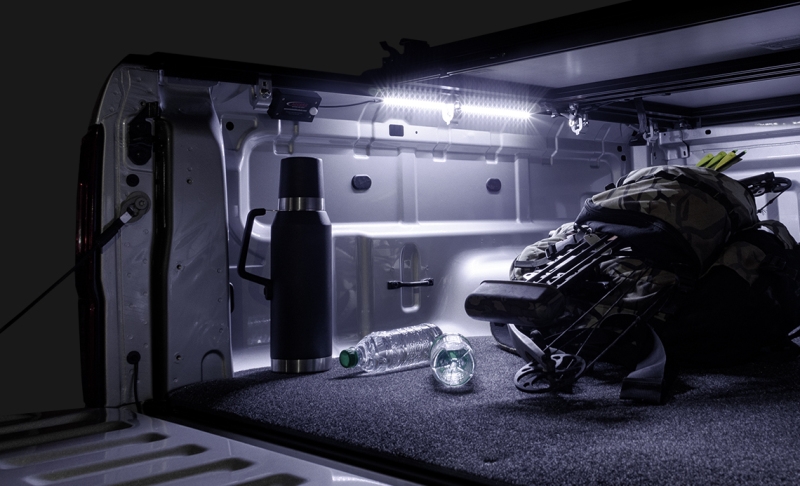 ACC Motion LED Light